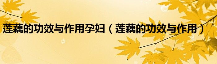 蓮藕的功效與作用孕婦（蓮藕的功效與作用）