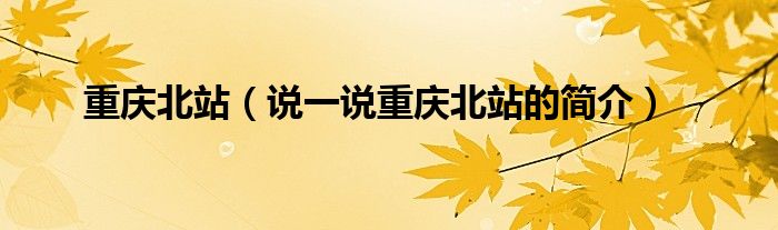 重慶北站（說(shuō)一說(shuō)重慶北站的簡(jiǎn)介）