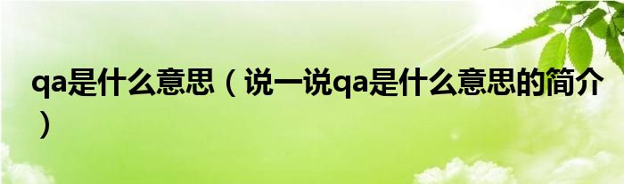 qa是什么意思（說一說qa是什么意思的簡介）