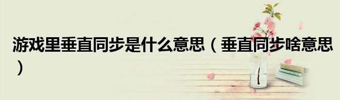 游戲里垂直同步是什么意思（垂直同步啥意思）