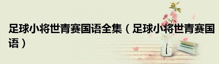 足球小將世青賽國(guó)語(yǔ)全集（足球小將世青賽國(guó)語(yǔ)）