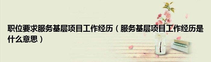 職位要求服務(wù)基層項(xiàng)目工作經(jīng)歷（服務(wù)基層項(xiàng)目工作經(jīng)歷是什么意思）