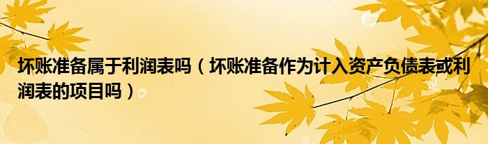 壞賬準(zhǔn)備屬于利潤(rùn)表嗎（壞賬準(zhǔn)備作為計(jì)入資產(chǎn)負(fù)債表或利潤(rùn)表的項(xiàng)目嗎）