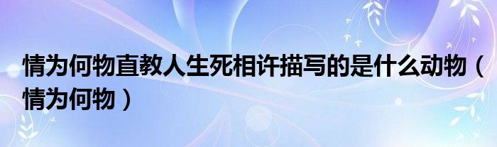情為何物直教人生死相許描寫的是什么動物（情為何物）