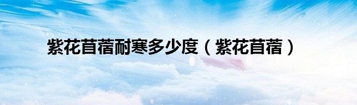 紫花苜蓿耐寒多少度（紫花苜蓿）