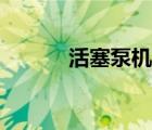 活塞泵機(jī)構(gòu)運(yùn)動簡圖（活塞泵）
