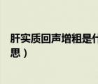 肝實質(zhì)回聲增粗是什么意思嚴重（肝實質(zhì)回聲增粗是什么意思）