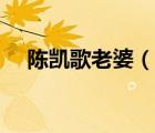 陳凱歌老婆（說一說陳凱歌老婆的簡介）