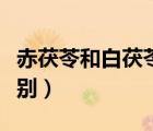 赤茯苓和白茯苓的區(qū)別（土茯苓和白茯苓的區(qū)別）