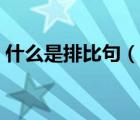 什么是排比句（說(shuō)一說(shuō)什么是排比句的簡(jiǎn)介）