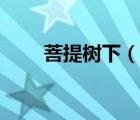 菩提樹(shù)下（說(shuō)一說(shuō)菩提樹(shù)下的簡(jiǎn)介）