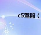c5駕照（說一說c5駕照的簡(jiǎn)介）