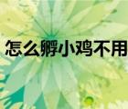 怎么孵小雞不用機器（人工自制孵小雞機器）
