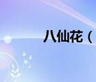 八仙花（說一說八仙花的簡介）