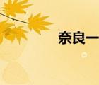 奈良一族族長（奈良一族）