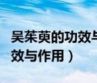 吳茱萸的功效與作用禁忌和用量（吳茱萸的功效與作用）