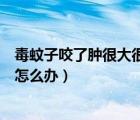 毒蚊子咬了腫很大很硬怎么辦視頻（毒蚊子咬了腫很大很硬怎么辦）