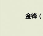 金鋒（說一說金鋒的簡介）