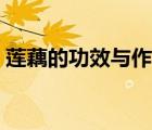 蓮藕的功效與作用孕婦（蓮藕的功效與作用）