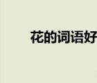 花的詞語好聽有寓意的（花的詞語）