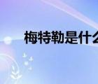梅特勒是什么（梅特勒是哪個國家的）