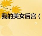 我的美女后宮（說一說我的美女后宮的簡介）