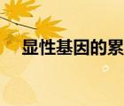 顯性基因的累加效應(yīng)（基因的顯形效應(yīng)）