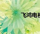 飛鴻電視?。w鴻影院免費(fèi)）