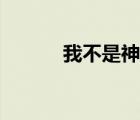 我不是神探小說（我不是神探）