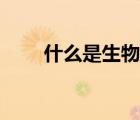 什么是生物基枕頭（什么是生物基）