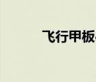 飛行甲板4手機(jī)版（飛行甲板4）