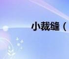 小裁縫（說一說小裁縫的簡(jiǎn)介）