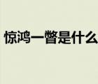 驚鴻一瞥是什么意思（翩若驚鴻是什么意思）