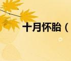 十月懷胎（說一說十月懷胎的簡介）