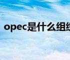 opec是什么組織的英文縮寫（opec是什么）