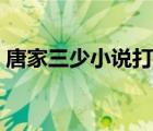 唐家三少小說(shuō)打包下載（唐家三少小說(shuō)下載）