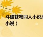 斗破蒼穹同人小說后宮（求無郁悶 主角無敵后宮YY的同人小說）