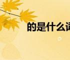 的是什么詞性的詞（的是什么詞）