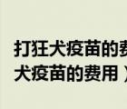 打狂犬疫苗的費(fèi)用商業(yè)保險(xiǎn)可以報(bào)銷嗎（打狂犬疫苗的費(fèi)用）
