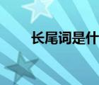 長尾詞是什么意思（什么是長尾詞）
