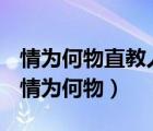 情為何物直教人生死相許描寫(xiě)的是什么動(dòng)物（情為何物）