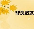 非負數(shù)就是正數(shù)和零（非負數(shù)）