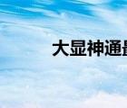 大顯神通最佳拍檔2（大顯神通）