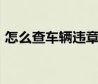 怎么查車輛違章查詢app（怎么查車輛違章）