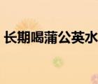 長期喝蒲公英水行嗎（長期喝蒲公英水好嗎）