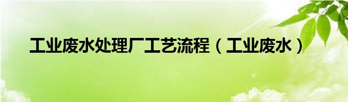 工業(yè)廢水處理廠工藝流程（工業(yè)廢水）