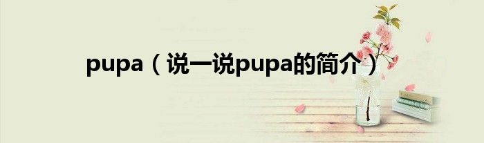 pupa（說一說pupa的簡介）