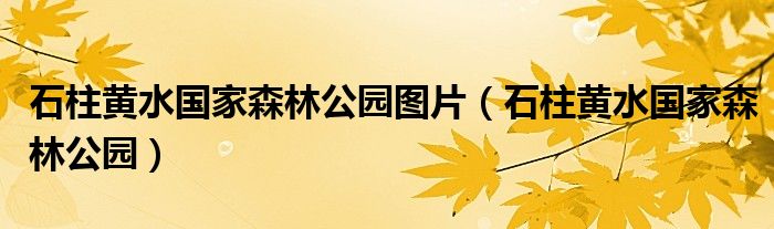 石柱黃水國家森林公園圖片（石柱黃水國家森林公園）