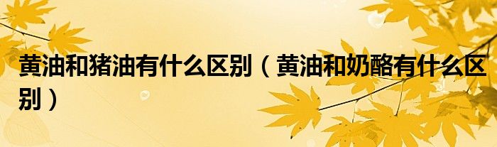 黃油和豬油有什么區(qū)別（黃油和奶酪有什么區(qū)別）
