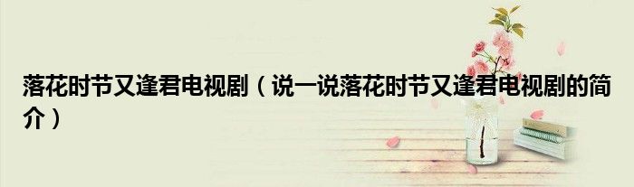 落花時節(jié)又逢君電視?。ㄕf一說落花時節(jié)又逢君電視劇的簡介）